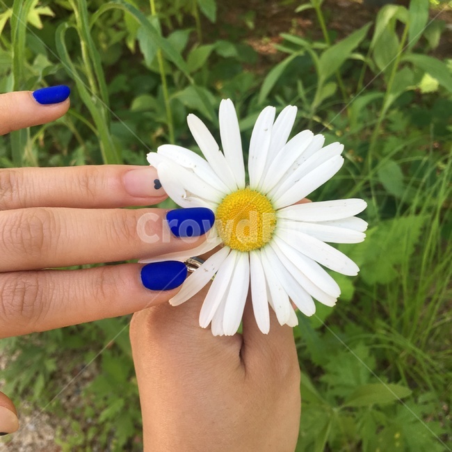 꽃,식물,자연,손,풀,야외,nature,흰꽃,네일아트,네일아트손,식물,자연,plants,nature,꽃,flower,뷰티,미용,beauty treatment