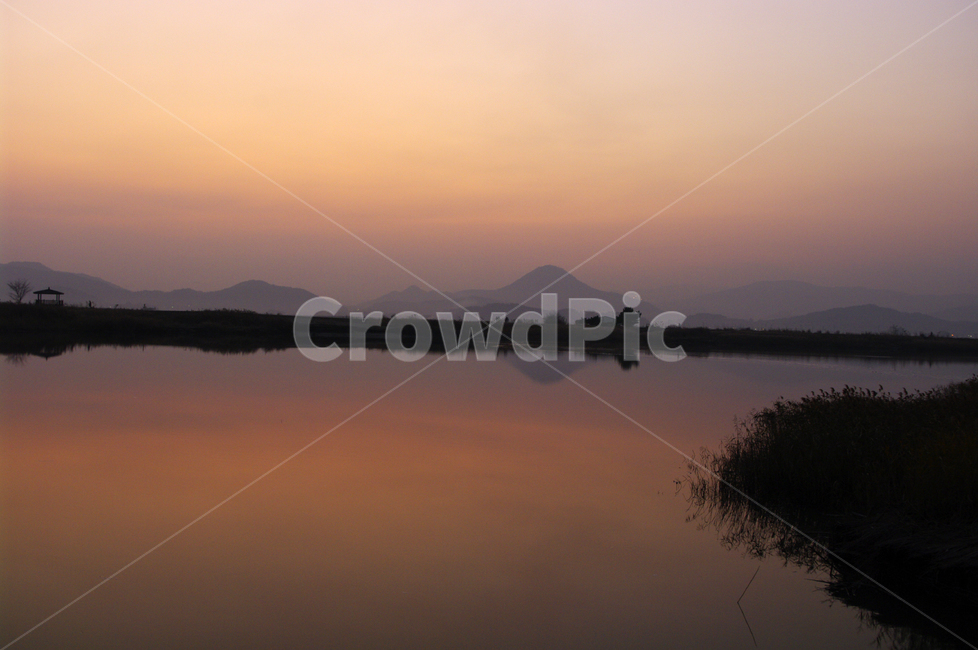 순천만,일몰,노을,풍경,갈대밭,강,하늘,그림자,자연,풍경,nature,landscape,outdoors,옥외,water,물