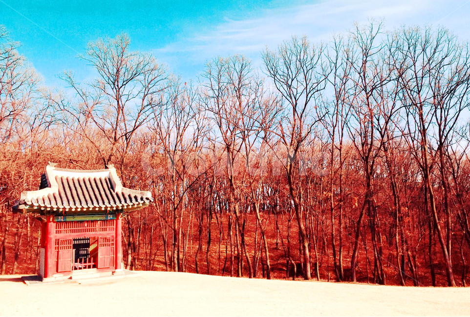 자연,수원,융건릉,역사,건축물,한국전통,한국문화,korean traditional,korean culture,건축물,건물외관,exterior,building,structure,architecture,construction