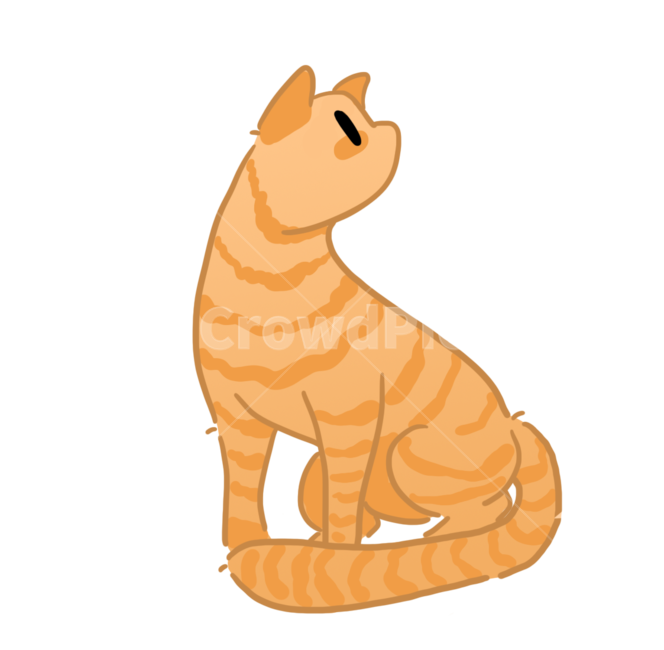 고양이,반려묘,집사,애완동물,그림,일러스트,png,동물,animal,포유류,mammal,고양이,cat,kitten,kitty,누끼,remove background