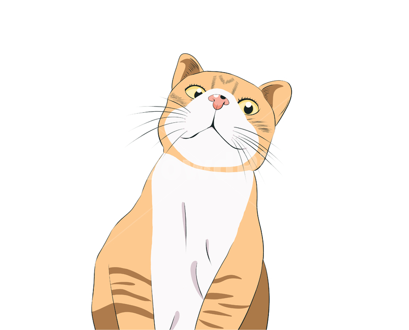 개그냥,치즈태비,cat,고양이그림,코숏고양이그림,catart,귀여운그림,냥이그림,일러스트,고양이일러스트,그래픽,일러스트레이션,graphic,illustration