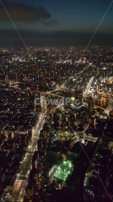 outdoors,옥외,landscape,경치,scenery,풍경,aerialview,조감도,야경,nightview,도쿄,tokyo,스카이트리,skytree,일본,japan,불빛,lights,저녁,night,도시,city