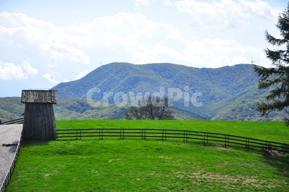 대관령,양떼목장,쉼터,오두막,잔디,초원,하늘,구름,길,가을,autumn,korea,sheep,farm,cabin,grass,grassland,sky,clouds,mountain,자연,풍경,nature,landscape,한국자연풍경,한국자연경관,korea nature landscape,outdoors,옥외,field,들