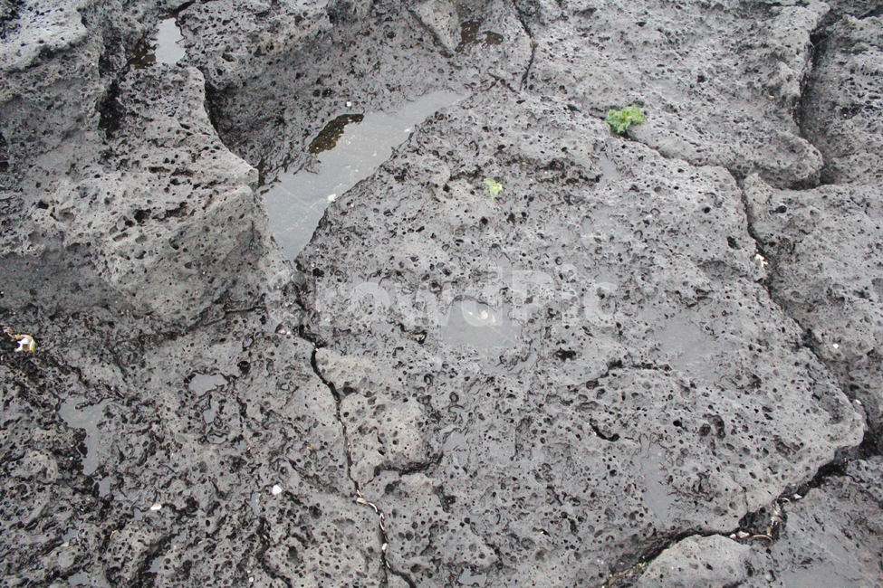 돌,틈새,물기있는,젖은돌,물가,갈라짐,자연,풍경,nature,landscape,ground,바닥,soil,흙
