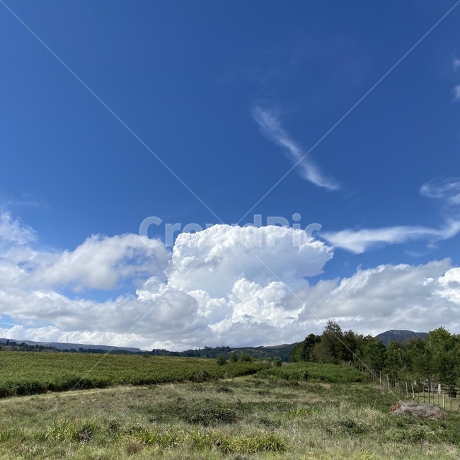 nature,outdoors,weather,cloud,sky,cumulus,grassland,field,자연,옥외,날씨,구름,하늘,적운,목초지,들