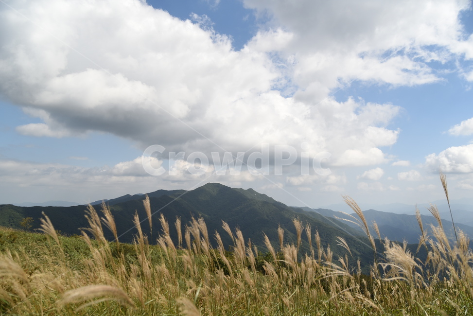 가을하늘,구름,nature,오솔길,자연,장안산,산,풍경,outdoors,road,자연,풍경,nature,landscape,grass,잔디,plant,식물