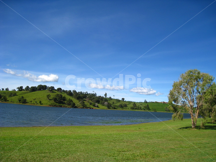 호주,케언즈,자연경관,나무,강,윈도우바탕화면,wallpaper,windows,nature,australia,tree,river