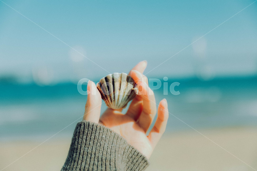 손,여자손,여자,조개,바다,해변,바다,beach,sea,사람,인물,인간,human,person,신체일부,몸,body