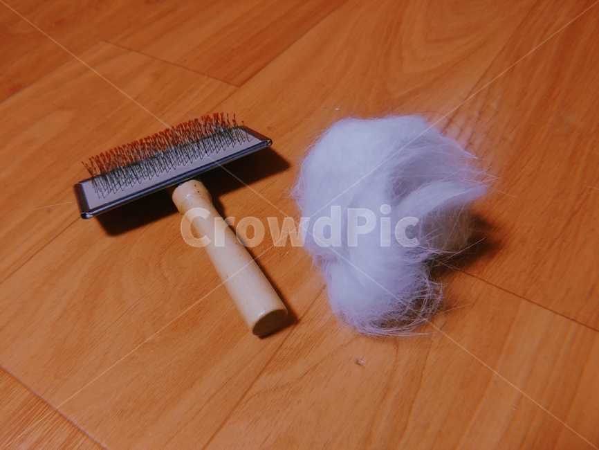 고양이,털,빗,동물,털뭉치,고양이털,터럭,고양이빗,빗질,솜