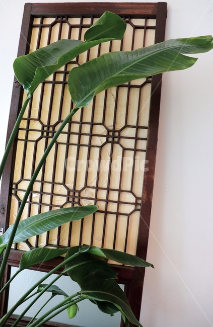 나무,한식문,전통문,창호지,실내인테리어,빈티지,인테리어,실내디자인,interior design