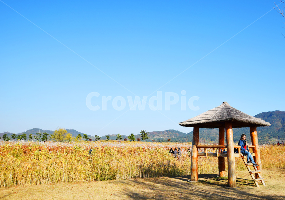 풍경,야외,경치,가을,갈대,휴식,여유,가을,계절,fall,autumn,season