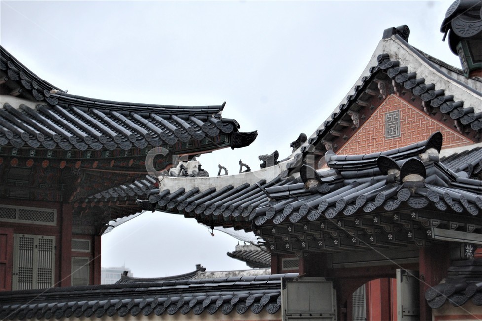 궁궐,궁,기와,지붕,기와지붕,한국,한국미,한국전통,한국문화,korean traditional,korean culture