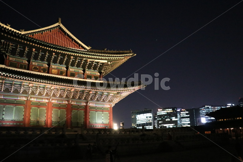 경복궁,야간개장,야경,도시,한옥,근정전,건물,빌딩,한국전통,한국,전통,빛,어둠,밤,처마,풍경,풍경사진,야경,밤,풍경,nightscape,night,landscape,한국전통,한국문화,korean traditional,korean culture,랜드마크,landmark,tourist attraction,한국랜드마크,한국관광지,한국명소,korea landmark,korea tourist attraction,worship,예배,shrine,신사,pagoda,탑,architecture,건축물,building