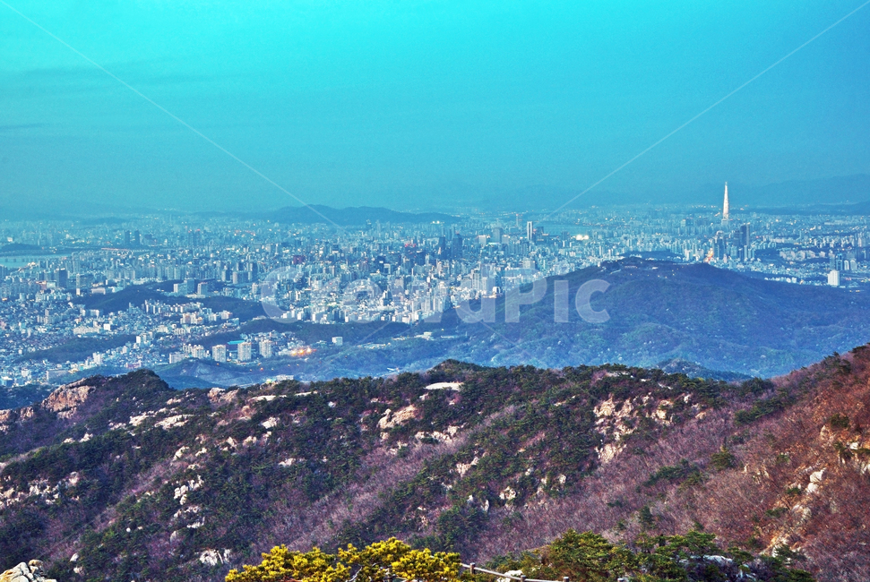 관악산,산,과천,도심풍경,봉우리,등산,대모산