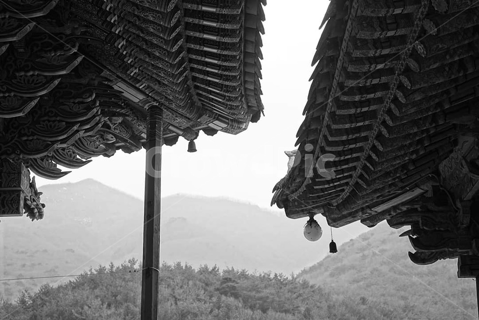신전,temple,건축물,architecture,countryside,자연,nature,building,건물,옥외,outdoors,농촌,rural,흑백,한국전통,한국문화,korean traditional,korean culture,흑백,모노톤,monochrome,black and white,건축물,건물외관,exterior,building,structure,architecture,construction