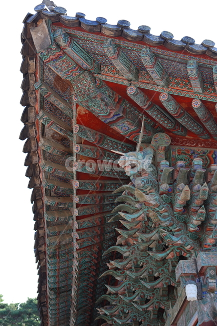 처마,절,기와,용,불교,전통,조각,단청,건물,건축물,building,architecture,temple,신전,목룡,하늘