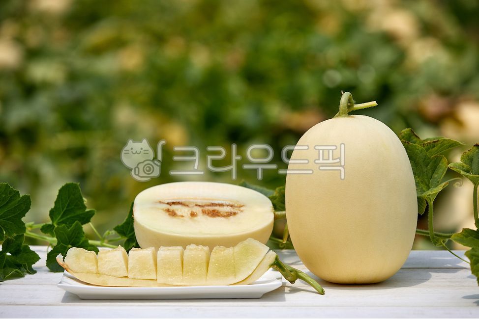 Cheonan Susin Melon,susinmelon,fruit,crops,agriculture,harvesting,white,Agriculture,melon,harvest,Fruit,cheonansusinmelon,food ingredients,leaf,food,cultivation,housemelon,White,culture,plant,house melon,stem