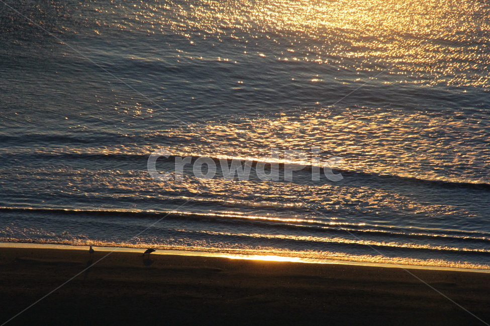 물결,햇빛,백사장,갈매기,바다,자연,풍경,nature,landscape,ocean,대양,water,물,outdoors,옥외,sea,shoreline,해안선