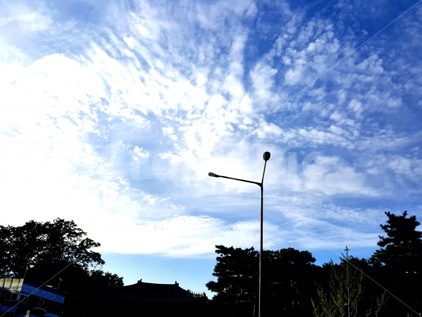 하늘,구름,풍경,가로등,푸름,도시,풍경,city,landscape,lamp post,램프 포스트
