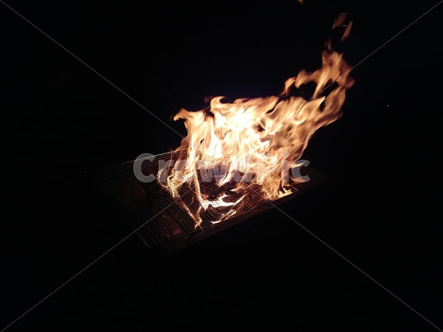 불,화염,고기,캠프,장작