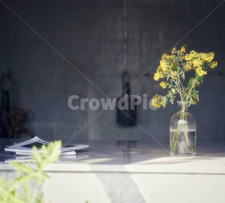 봄,꽃,유채,화병,인테리어,미니멀리즘,꽃,flower,실내용화초,화분,화초,house plant