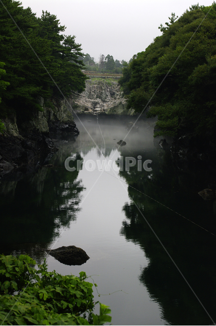 제주,쇠소깍,풍경,하천,나무,식물,자연,풍경,nature,landscape,한국자연풍경,한국자연경관,korea nature landscape,제주도,jeju,jeju island