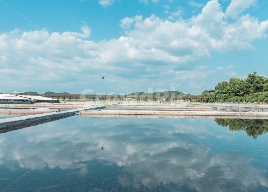 하늘,염전,반영,구름,풍경,맑음,자연,풍경,nature,landscape,water,물,outdoors,옥외