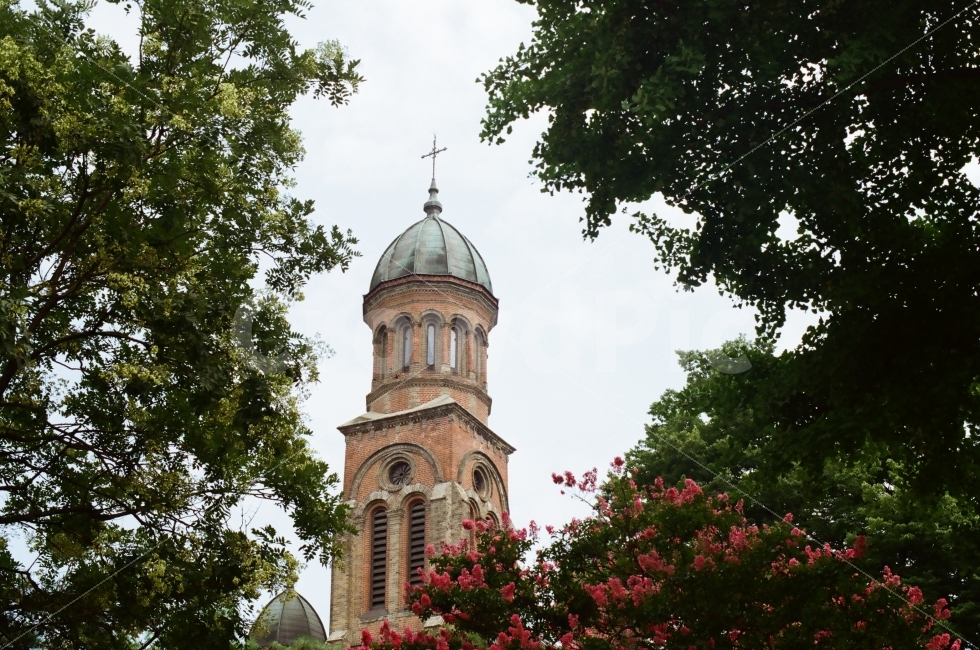 전주,성당,전동성당,나무,필름사진,필름카메라,랜드마크,landmark,tourist attraction,종교,신앙,religion,belief,faith