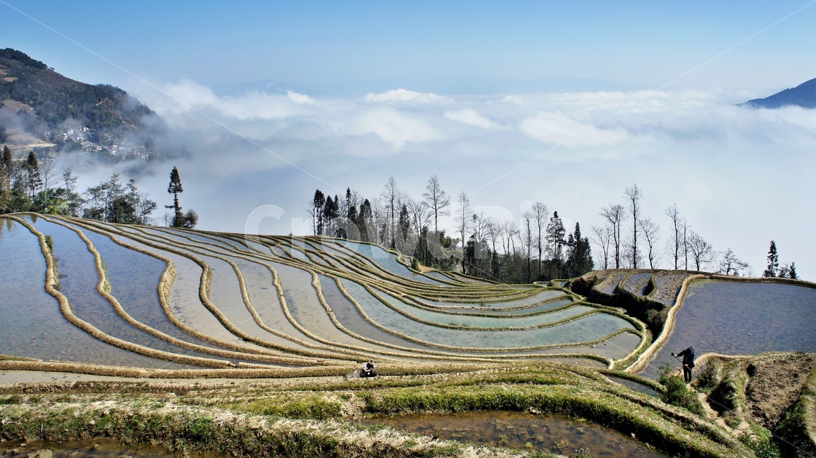 field,들,outdoors,옥외,nature,자연,landscape,경치,scenery,풍경,weather,날씨,중국,운남,원양제전,원양다랭이논,다락논,농경지,농업,농사,경작,다랭이논,자연,풍경,nature,landscape,농업,농사,agriculture,farming,farming industry