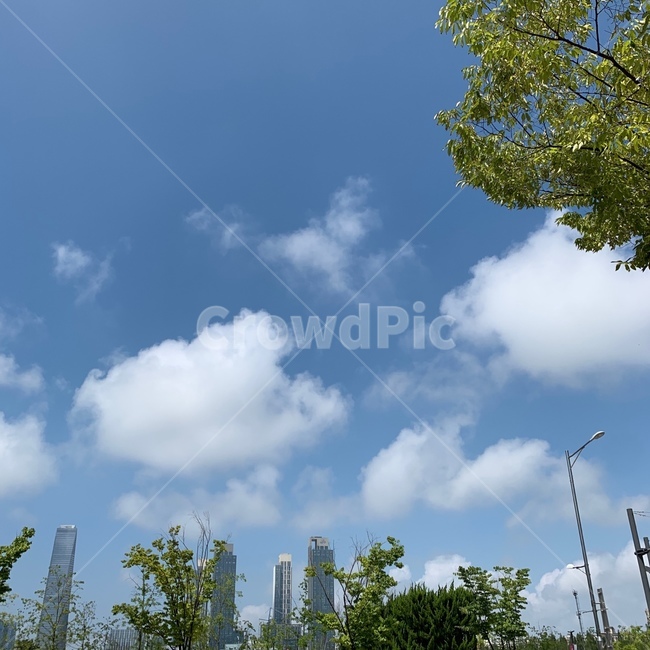하늘,구름,파란하늘,날씨,풍경