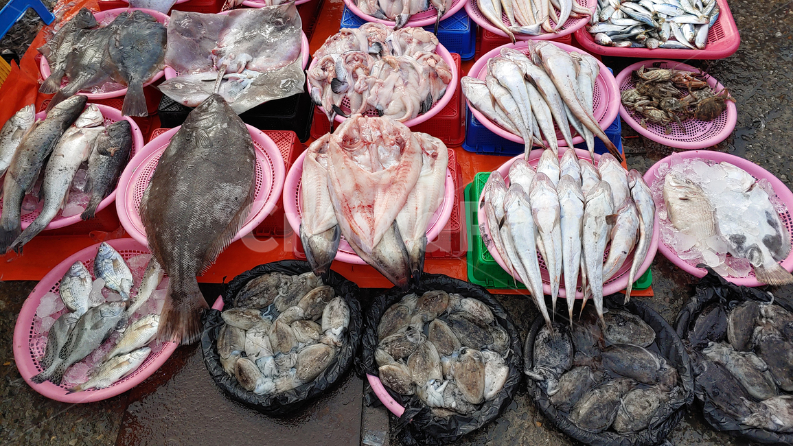 수산물,어류,해산물,생선,음식,푸드,해물,바다생물,다양한,좌판,노점,갑오징어,피쉬,fish,신선한,fresh,배경,animal,동물,생선가게,바탕,백그라운드,어시장,수산시장,한국적,우리것,우럭,도미,어종,가자미,광어,아구,아귀,물메기,먹물,오징어,박카지,가오리,간재미,물텀벙,수산물,해산물,fishery products,seafood