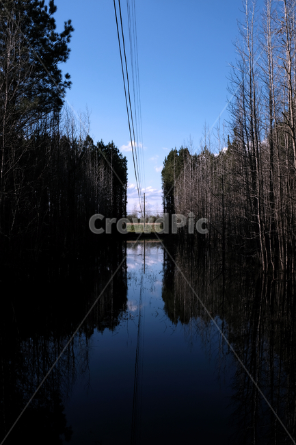 맑은하늘,나무,강,구름,전깃줄,자연,풍경,nature,landscape,outdoors,옥외,land,땅,water,물