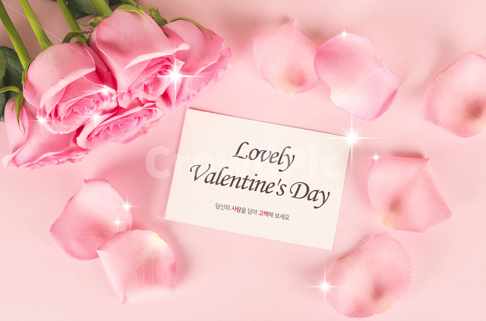 장미,꽃,꽃잎,발렌타인,발렌타인데이,프레임,이벤트,기념일,연인,커플,사랑,lover,couple,기념일,축하,anniversary,congratulation,celebrate,celebration,그래픽,일러스트레이션,graphic,illustration