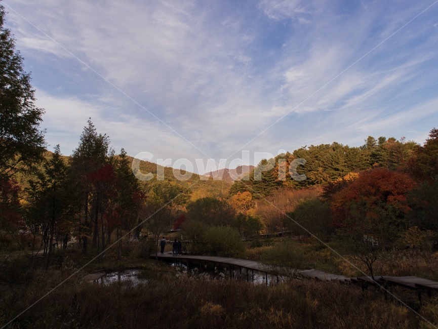 하늘,산,자연,풍경,가을,landscape,nature,outdoors,단풍,tree,나무,식물,plant,가을,계절,fall,autumn,season,자연,풍경,nature,landscape,옥외,fir,전나무
