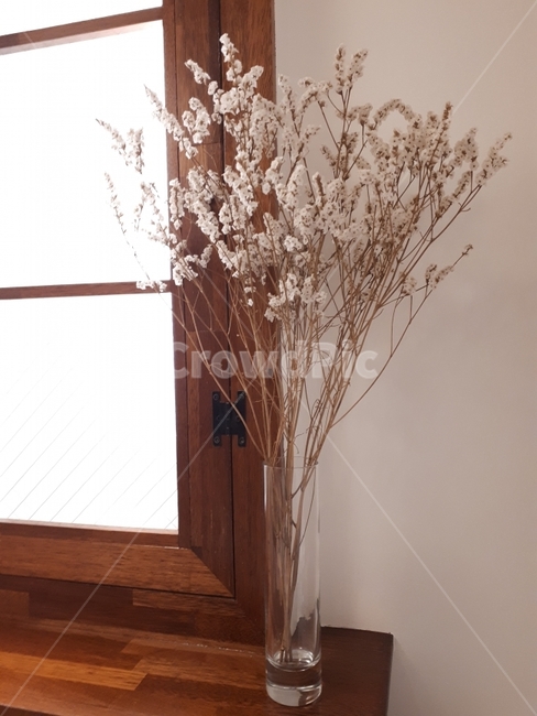 안개꽃,꽃,식물,장식,flower,식물,자연,plants,nature,꽃,flower,실내용화초,화분,화초,house plant,인테리어,실내디자인,interior design