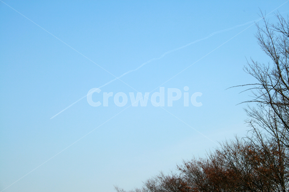 하늘,나무,겨울,파란,sky,자연,풍경,nature,landscape