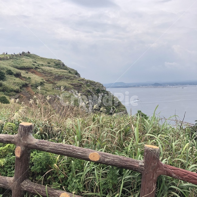 울타리,나무울타리,섬,들,들판,풀,바다,하늘,구름,grass,sea,sky,cloud,outdoors,옥외