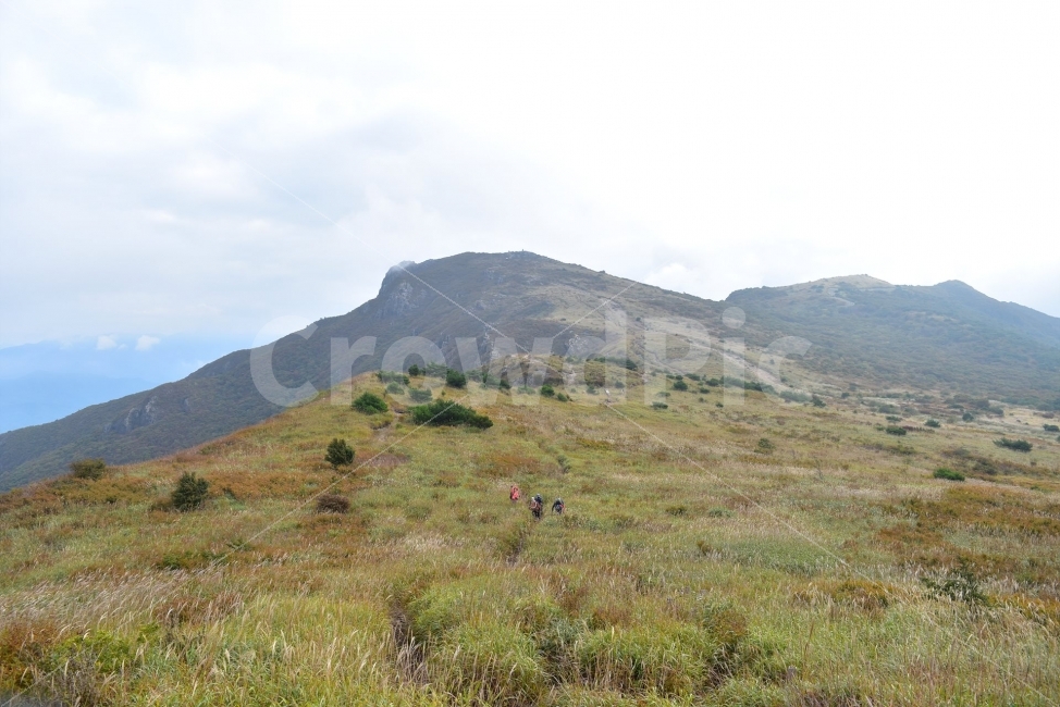 영축산,신불산,영남알프스가을,풍경,낙엽,명산,자연,비경,단풍나무,가을색,가을색채,가을풍경,운해,장관,구름,억새,영알,억새평전,mountain,landscape,가을,계절,fall,autumn,season,자연,풍경,nature,landscape,한국자연풍경,한국자연경관,korea nature landscape,outdoors,옥외,hill,언덕,slope,경사