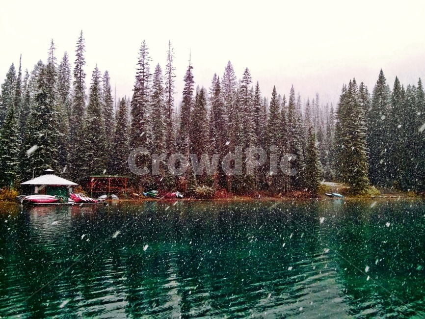 캐나다,에메랄드호수,눈보라,눈,숲,나무,오두막,겨울,겨울,계절,winter,season,자연,풍경,nature,landscape,해외,외국,세계,foreign,oversea,world,세계자연풍경,해외자연풍경,외국자연풍경,world nature landscape,fir,전나무,tree,abies,아비,plant,식물,outdoors,옥외,water,물