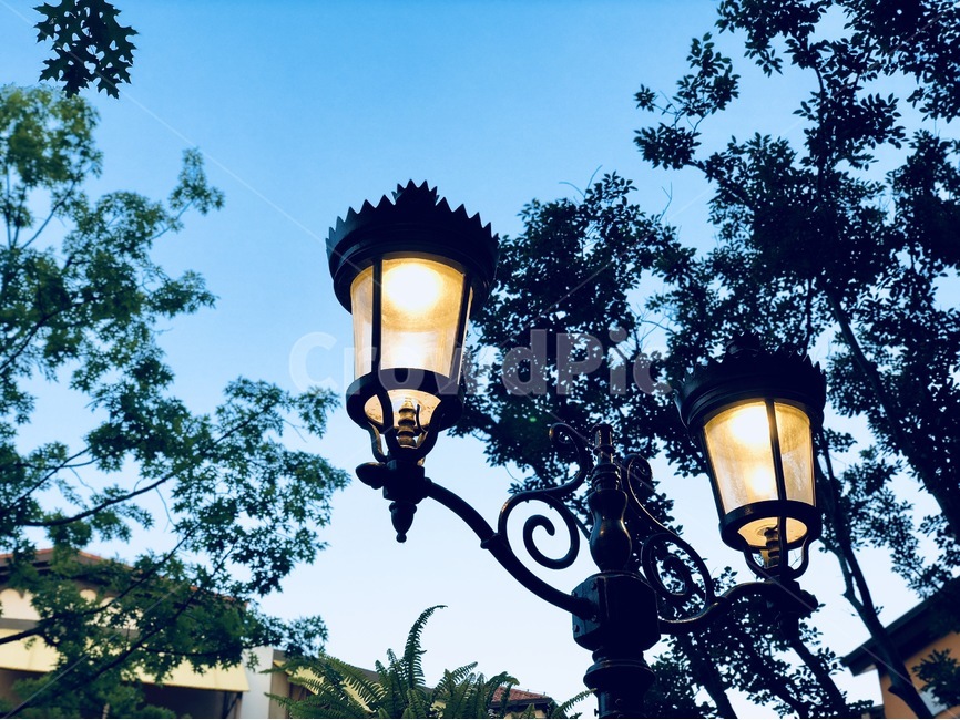저녁,가로등,불빛,빛,나무,야경,밤,풍경,nightscape,night,landscape,lamp,램프