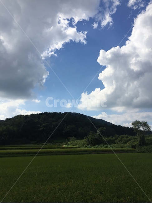파란하늘,구름,하얀구름,들,산