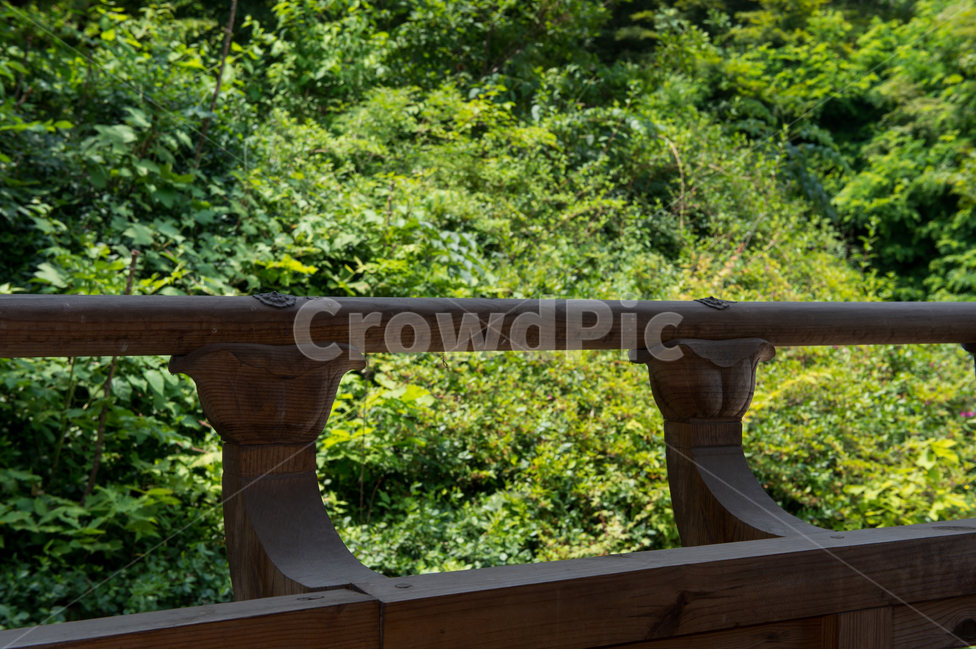 한옥,전통,한국적,그늘,나무,숲,난간,파란,푸른,맑음,hanok,house,traditional,korean,shadow,wood,tree,forest,blue,sunny,balustrade,railing,여름,summer,시원한,cool,편안한,comfortable,조용한,고즈넉한,silent,cozy,한국전통,한국문화,korean traditional,korean culture,건축물,건물외관,exterior,building,structure,architecture,construction