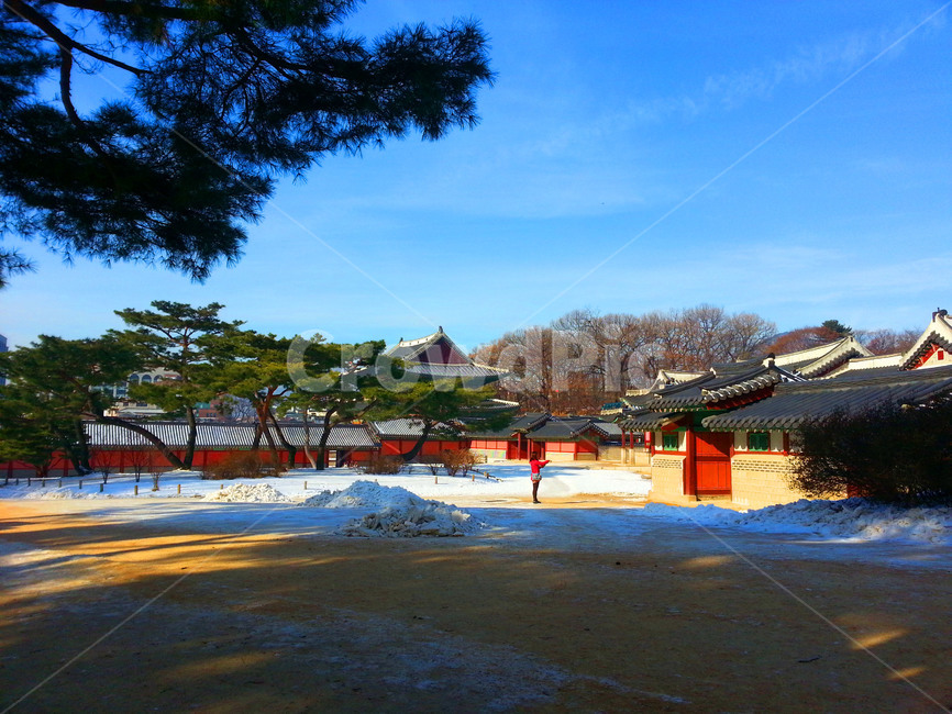 palace,tourism,heritage,korean,tour,Cultural Heritage,unesco,Changdeokgung Palace,garden,support,changdeokpalace