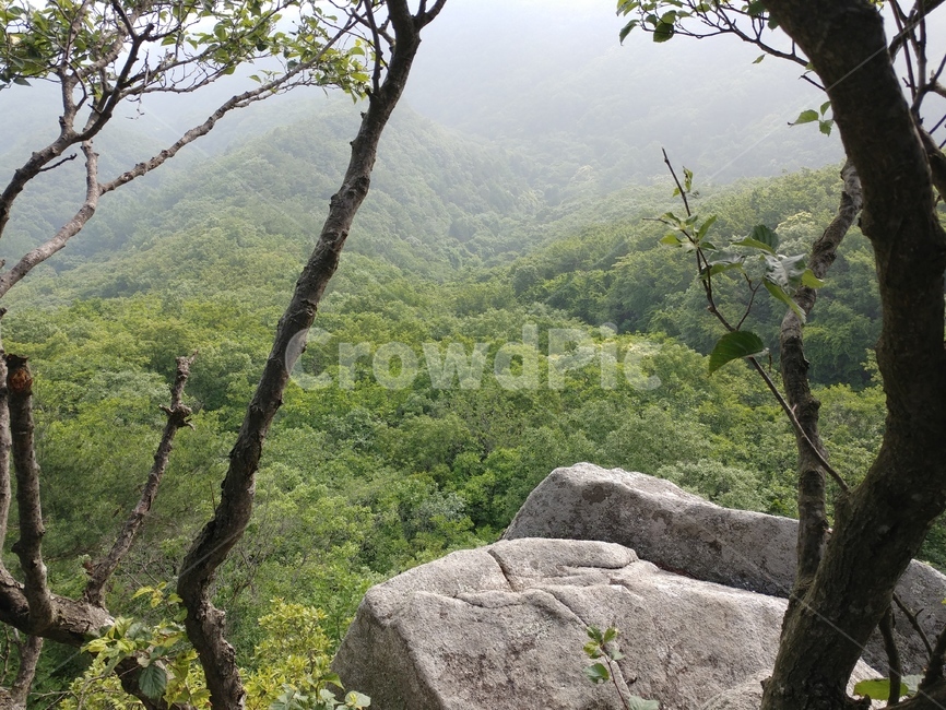 모악산,아침모악산,중인리능선,안개낀능선,전주시,능선조망,안개긴모악산,자연,풍경,nature,landscape,outdoors,옥외