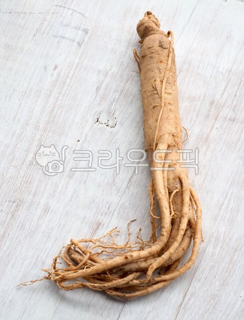 동양의학,한약재료,한약재,인삼,수삼,약재,뿌리,식물,뿌리식물,음식,배경,건강식품,orientalmedicine,chinesemedicineingredients,herbalmedicine,ginseng,medicine,root,plant,food,background,healthfood,한의학,한약,한방