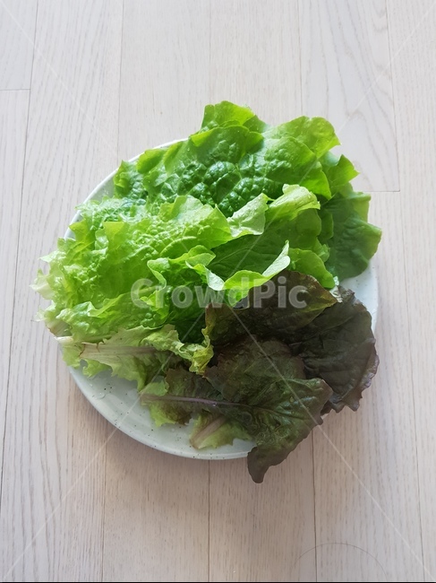 상추,상추쌈,야채쌈,채소,야채,유기농,야채쌈채소,음식,식재료,요리,food,cook,meal,dishes,food reserves,채소,야채,vegetables