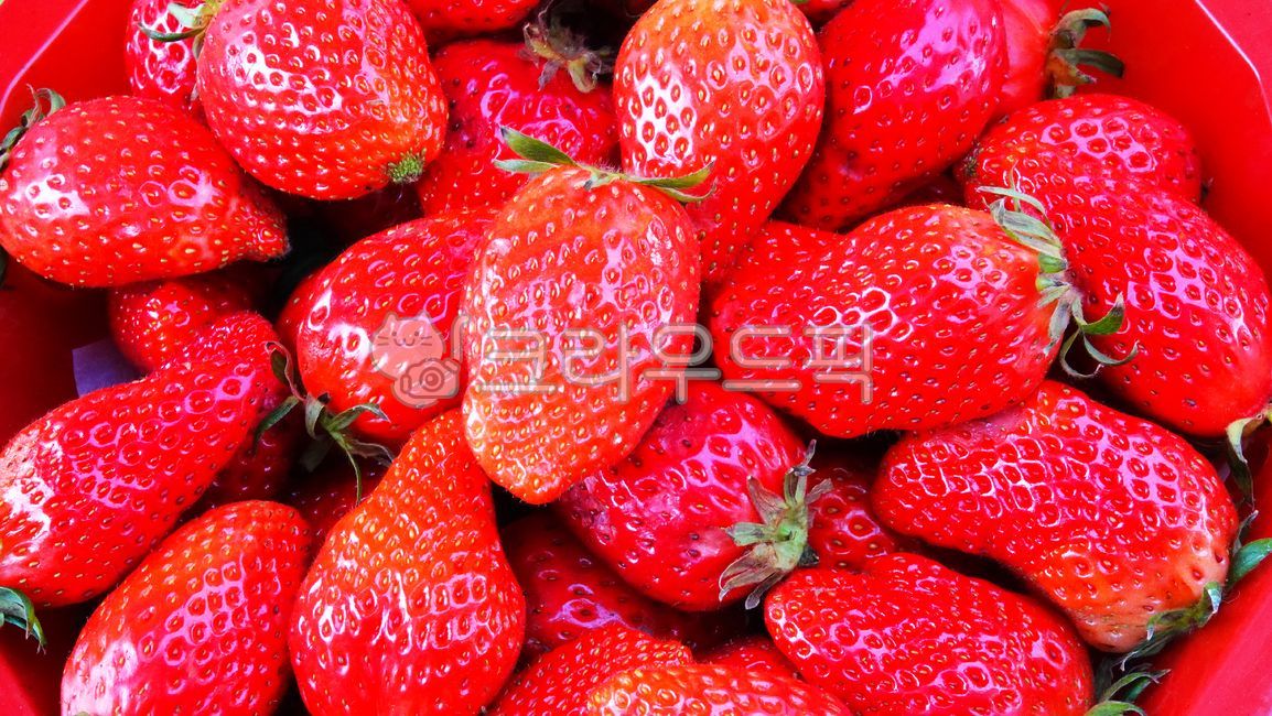 딸기,열매,과일,음식,식재료,농산물,food,fruit,strawberry