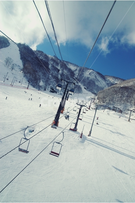 스키장,눈,ski,snow,산,설산,겨울,winter,리프트,white,화이트,겨울,계절,winter,season,자연,풍경,nature,landscape,스포츠,레저,운동,sports,leisure,exercise,outdoors,옥외,sport,piste,피스트,slope,경사