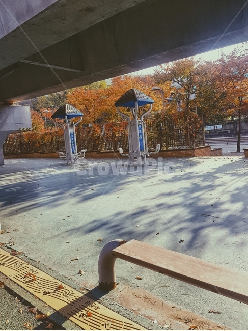 공원,벤치,의자,운동기구,아련,단풍,그림자,나무