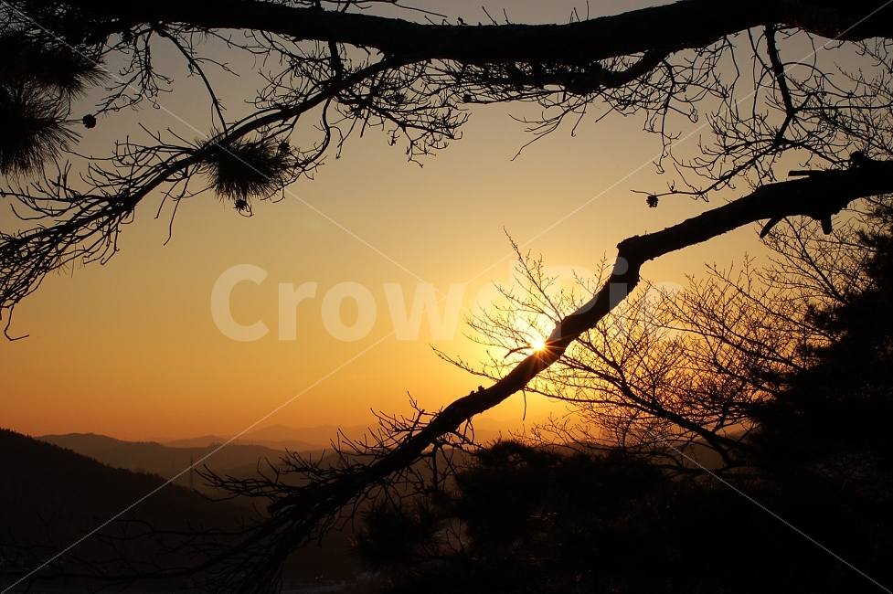 사진,일몰,노랑,노을,풍경,감성,포근함,자연,풍경,nature,landscape,sunlight,햇빛,outdoors,옥외,sunset,dawn,새벽,red sky,붉은 하늘,sky,하늘,dusk,황혼,flare,플레어,light,빛